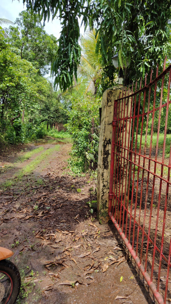  Agricultural Land 30 Guntha for Sale in Ambernath, Thane