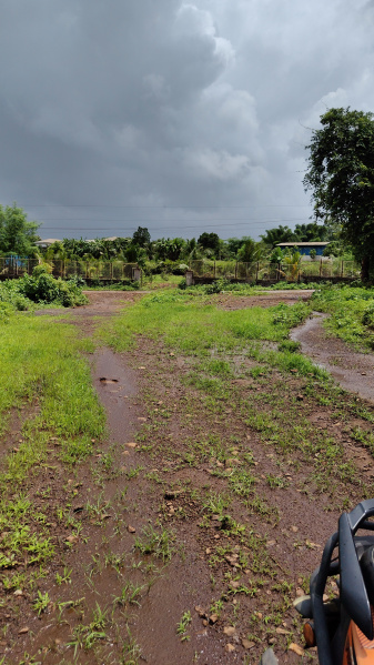  Agricultural Land 120 Guntha for Sale in Ambernath, Thane
