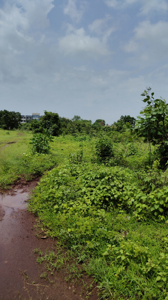  Agricultural Land 120 Guntha for Sale in Ambernath, Thane