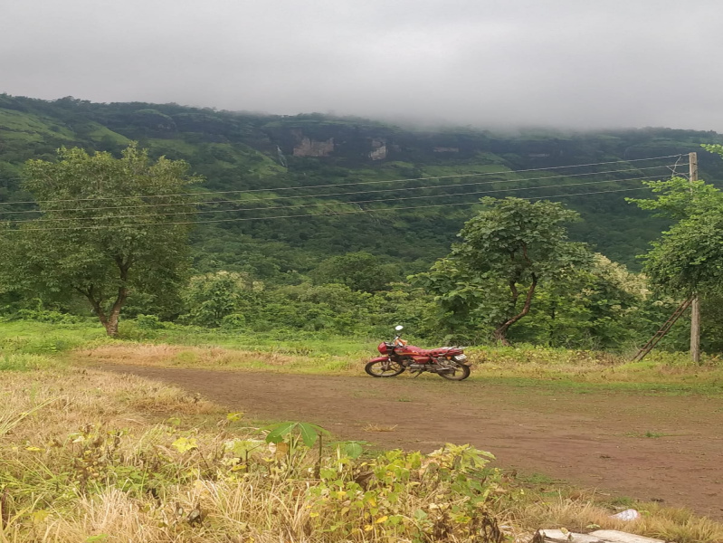  Agricultural Land 423 Guntha for Sale in Sarde, Raigad