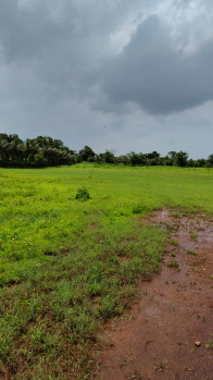  Agricultural Land for Sale in Vangani, Thane