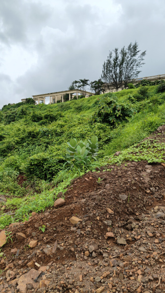 Residential Plot 20 Guntha for Sale in Panvel, Raigad