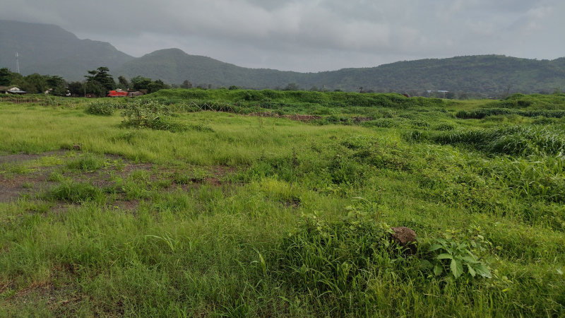  Industrial Land 320 Guntha for Sale in Panvel, Raigad