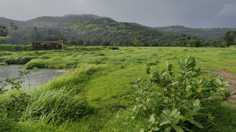  Industrial Land 62 Guntha for Sale in Panvel, Raigad