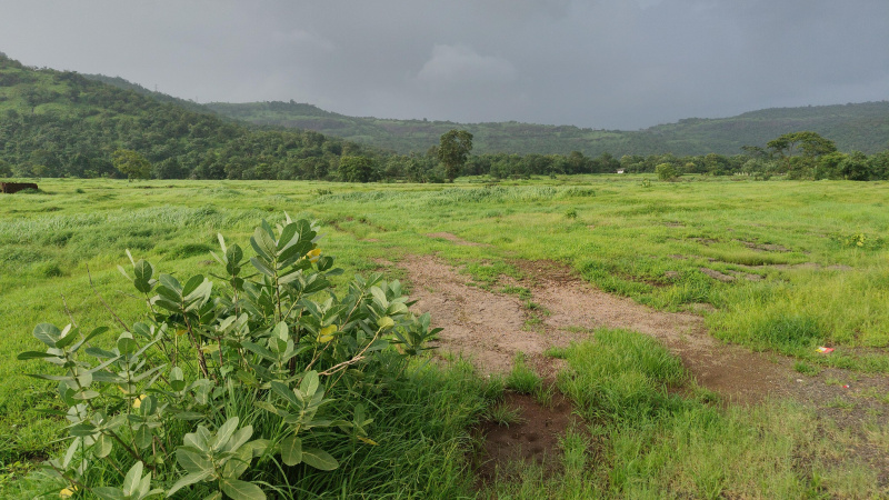  Industrial Land 62 Guntha for Sale in Panvel, Raigad