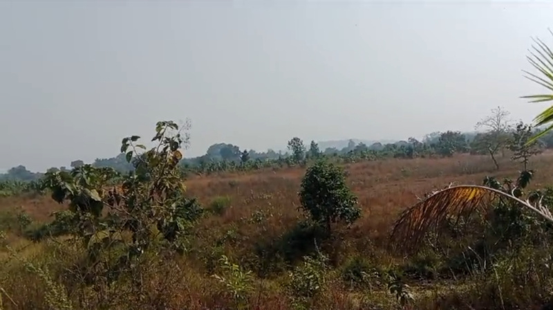  Agricultural Land 2000 Guntha for Sale in Neral, Raigad