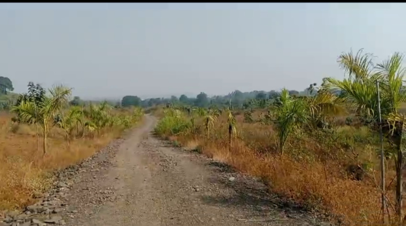  Agricultural Land 2000 Guntha for Sale in Neral, Raigad