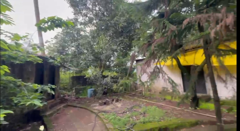  Agricultural Land 63 Guntha for Sale in Pen, Raigad