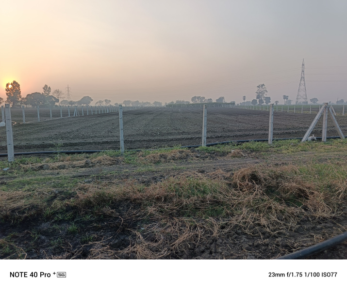  Residential Plot 42560 Sq.ft. for Sale in Ratibad, Bhopal