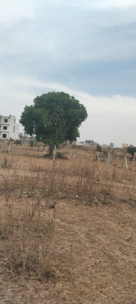  5500 Sq.ft. Residential Plot for Sale in Barkheda, Bhopal