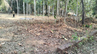  Residential Plot for Sale in Vellarikkundu, Kasaragod