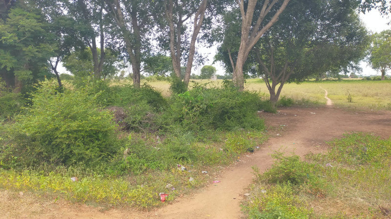  Industrial Land 37 Acre for Sale in Periapalayam, Thiruvallur