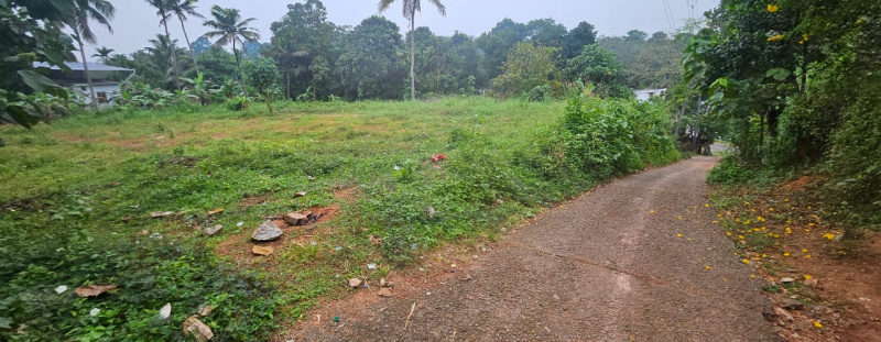  Residential Plot 10 Cent for Sale in Anchal, Kollam