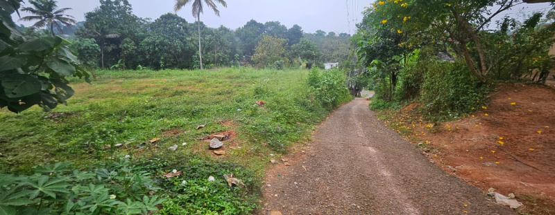  Residential Plot 10 Cent for Sale in Anchal, Kollam