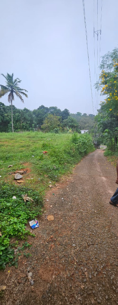  Residential Plot 10 Cent for Sale in Anchal, Kollam