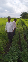  Agricultural Land for Sale in Bembli, Osmanabad
