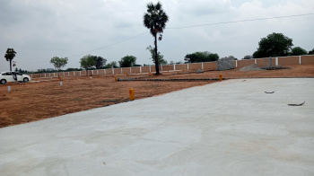  Residential Plot for Sale in Manikandam, Tiruchirappalli