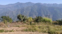  Agricultural Land for Sale in Neelkanth Road, Rishikesh