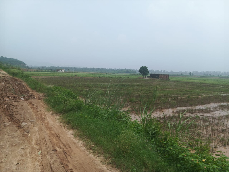  Agricultural Land 20 Sq.ft. for Sale in HSIIDC Manakpur Industrial Area, Sector 30A, Yamunanagar
