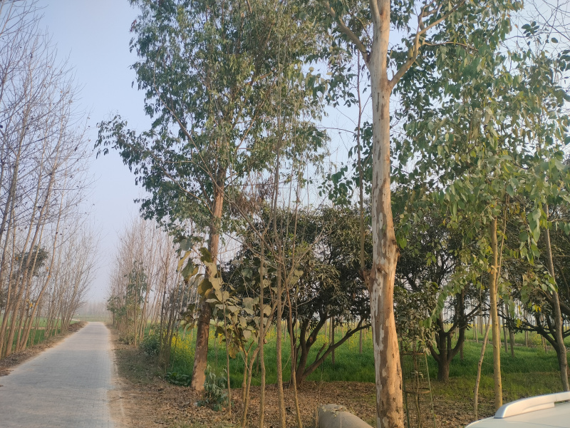  28 Acre Industrial Land for Sale in Jagadhri, Yamunanagar