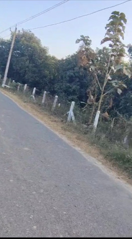  100 Bigha Agricultural/Farm Land for Sale in Behat, Saharanpur