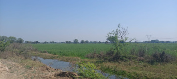  Agricultural Land for Sale in Indergarh, Datia