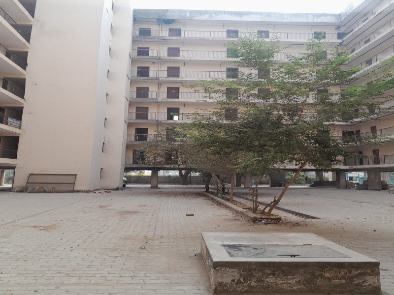 1 RK Apartment 540 Sq.ft. for Sale in Sector 70A Gurgaon