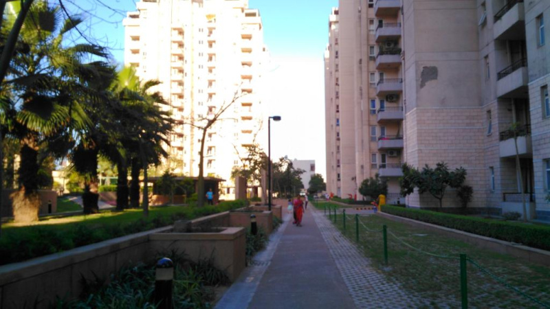 3 BHK Apartment 1805 Sq.ft. for Rent in Sector 49 Gurgaon