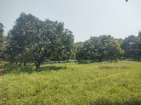  Agricultural Land for Sale in Siana, Bulandshahr