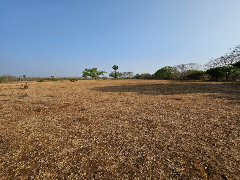  Agricultural Land 2 Acre for Sale in Kinathukadavu, Coimbatore