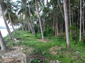  Residential Plot for Sale in Quilandy, Kozhikode