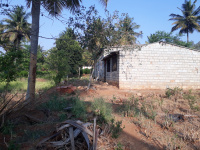  Agricultural Land for Sale in Kanakapura Road, Bangalore