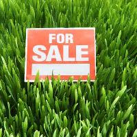  Residential Plot for Sale in Diamond Harbour Road, Kolkata