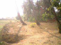  Agricultural Land for Sale in Shahapur, Thane