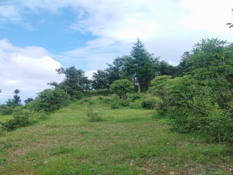  7200 Sq. Yards Residential Plot for Sale in Lamgara, Almora