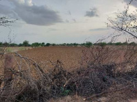  Agricultural Land for Sale in Bhatpar Rani, Deoria