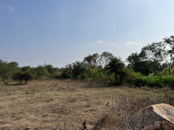  Agricultural Land for Sale in Shabad, Rangareddy