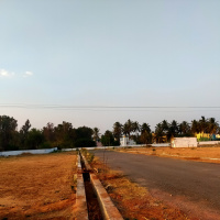  Commercial Land for Sale in Denkanikottai, Krishnagiri