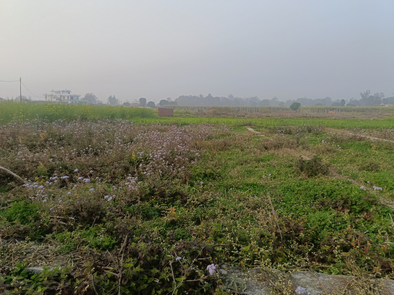  166 Sq. Yards Residential Plot for Sale in Doiwala, Dehradun
