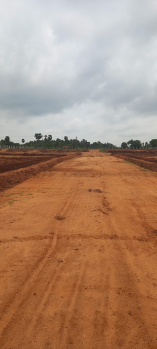  Agricultural Land for Sale in Neelambor, Coimbatore