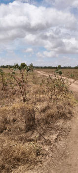  Agricultural Land for Sale in Sulur, Coimbatore