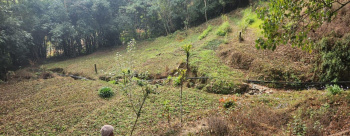  Residential Plot for Sale in Rishi Road, Kalimpong