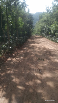  Agricultural Land for Sale in Sakleshpur, Chikmagalur