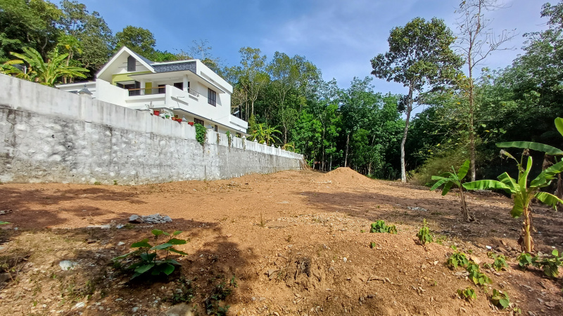 Residential Plot 20 Cent for Sale in Adoor, Pathanamthitta