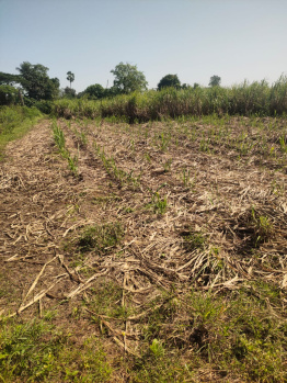  Agricultural Land for Sale in NANDOD, Narmada