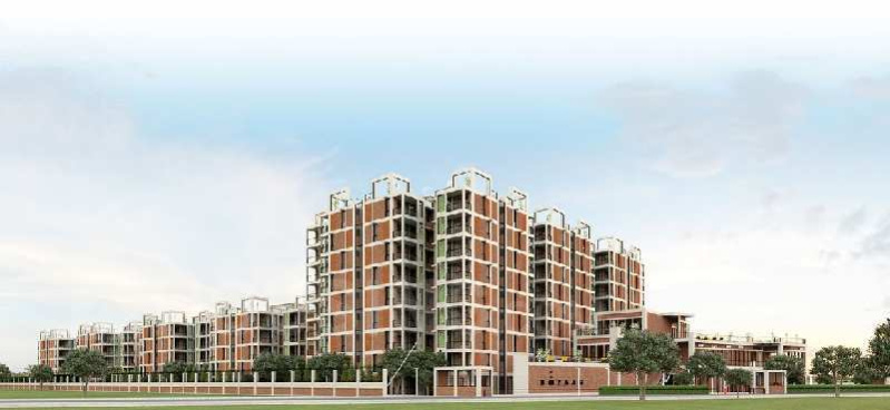  Commercial Shop 229 Sq.ft. for Sale in Sector 6 Gurgaon
