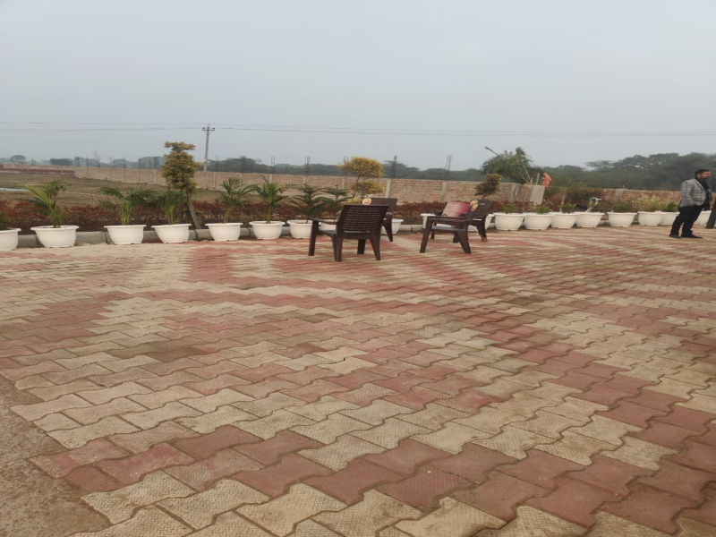  100 Sq. Yards Residential Plot for Sale in Sector 7, Jhajjar