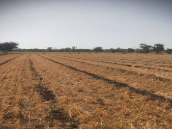  Agricultural Land for Sale in BHAGALPUR BLOCK, Deoria