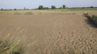 Agricultural Land for Sale in BHAGALPUR BLOCK, Deoria