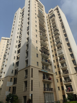 3 BHK Flat for Rent in Sector 134 Noida
